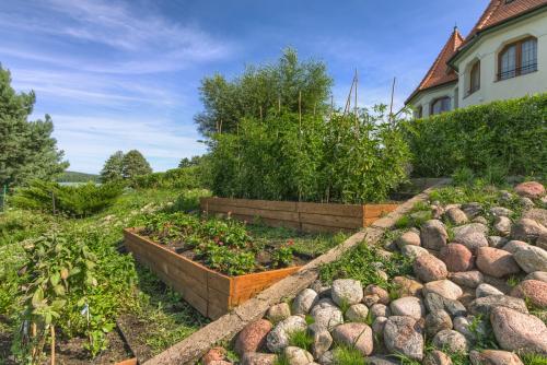 DSC 1537-HDR